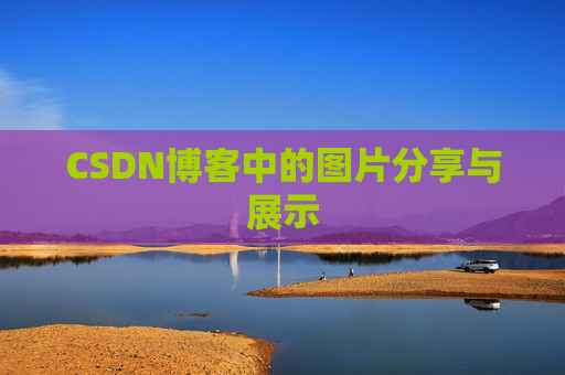 CSDN博客中的图片分享与展示